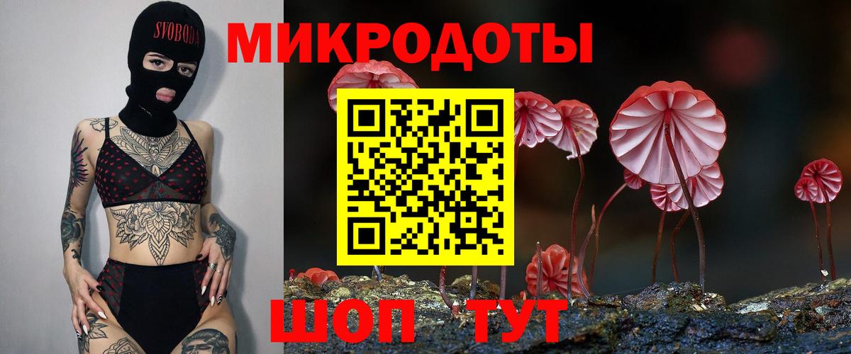 где найти наркотики  Вход с VPN  Каменск-Уральский  Псилоцибиновые грибы мухоморы 
